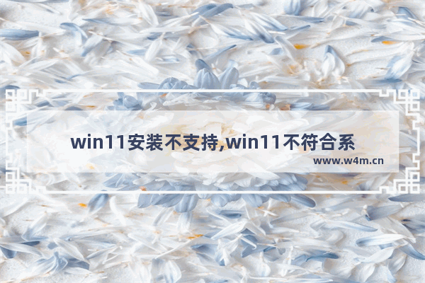 win11安装不支持,win11不符合系统要求