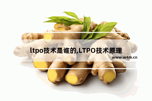 ltpo技术是谁的,LTPO技术原理