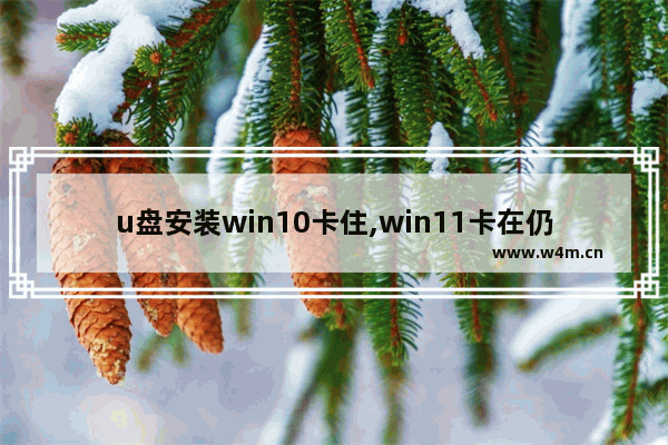 u盘安装win10卡住,win11卡在仍在处理一些问题