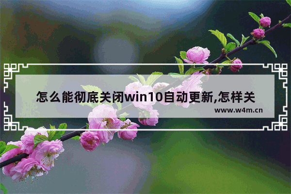 怎么能彻底关闭win10自动更新,怎样关闭win10的自动更新