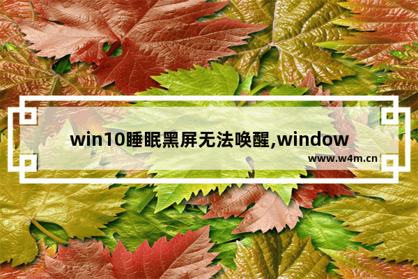 win10睡眠黑屏无法唤醒,windows10黑屏无法唤醒