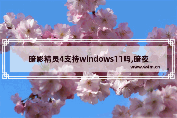 暗影精灵4支持windows11吗,暗夜精灵升级win11