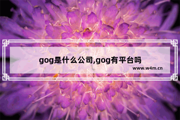 gog是什么公司,gog有平台吗