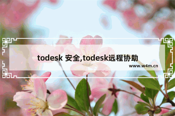 todesk 安全,todesk远程协助安全吗