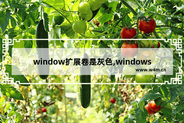 window扩展卷是灰色,windows10c盘扩展卷灰色