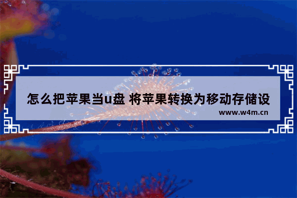 怎么把苹果当u盘 将苹果转换为移动存储设备的方法