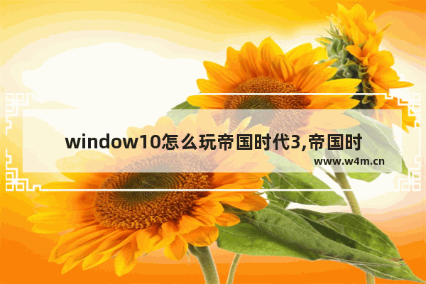 window10怎么玩帝国时代3,帝国时代3win10打不开