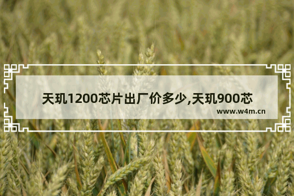 天玑1200芯片出厂价多少,天玑900芯片如何