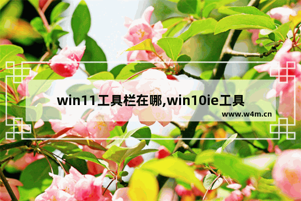 win11工具栏在哪,win10ie工具栏在哪里