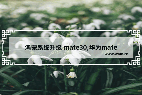 鸿蒙系统升级 mate30,华为mate30升级鸿蒙系统教程