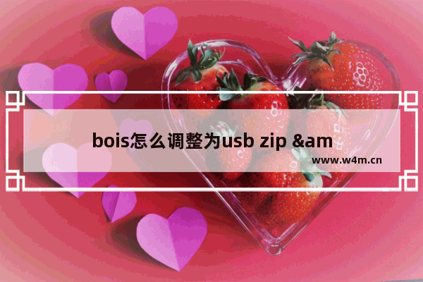 bois怎么调整为usb zip "将bois调整为USB Zip的方法"