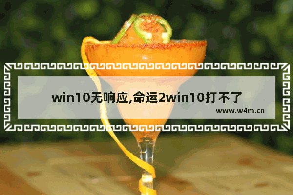 win10无响应,命运2win10打不了中文