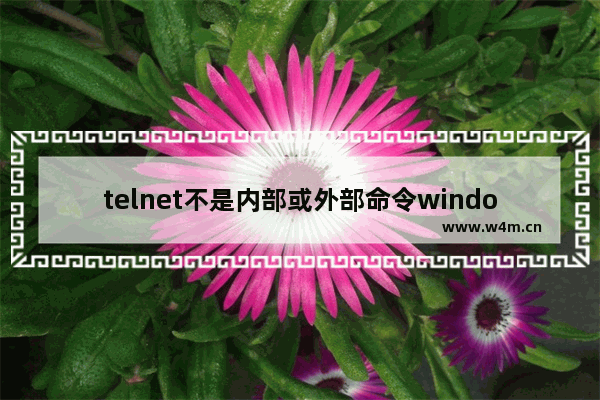 telnet不是内部或外部命令windows server,telnet不是内部或外部命令win11