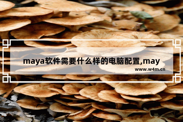 maya软件需要什么样的电脑配置,maya对电脑的配置要求