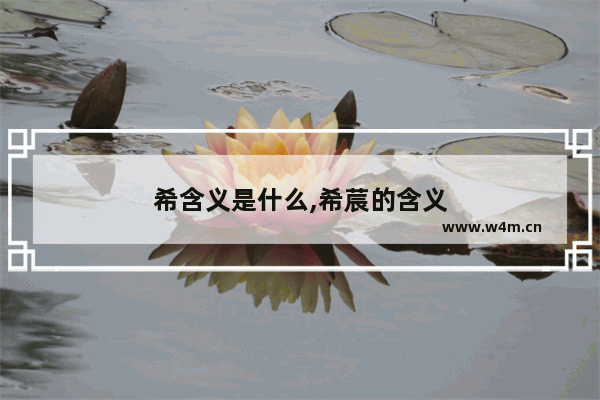 希含义是什么,希莀的含义