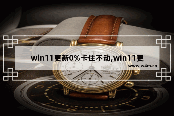 win11更新0%卡住不动,win11更新一直是0