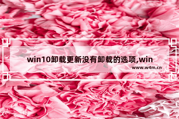 win10卸载更新没有卸载的选项,win10补丁没有成功卸载全部更新