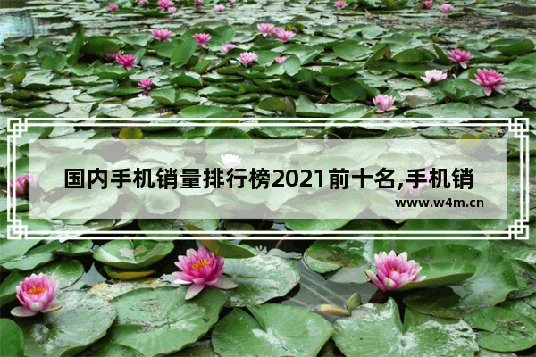 国内手机销量排行榜2021前十名,手机销量排行榜2021年