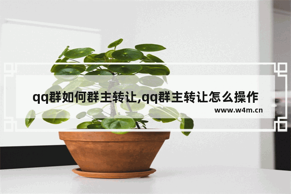 qq群如何群主转让,qq群主转让怎么操作