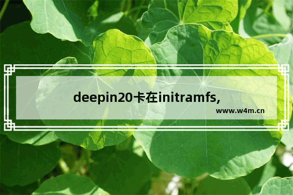 deepin20卡在initramfs,Linux开机卡在deepin