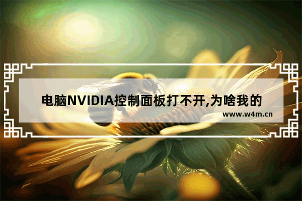 电脑NVIDIA控制面板打不开,为啥我的nvidia控制面板打不开