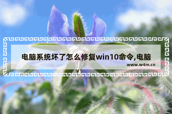 电脑系统坏了怎么修复win10命令,电脑系统坏了怎么修复win7