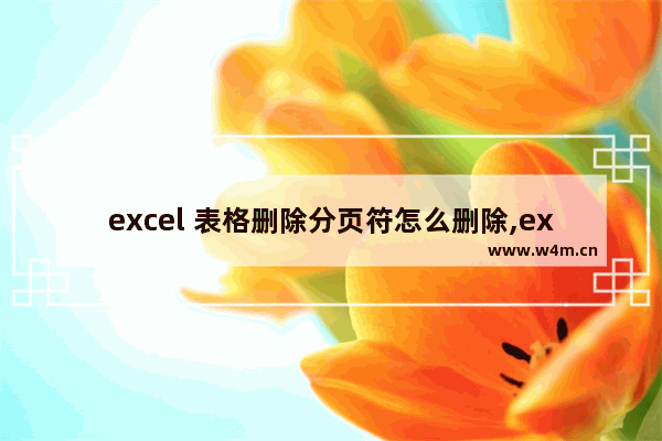 excel 表格删除分页符怎么删除,excel表分页符怎么删除