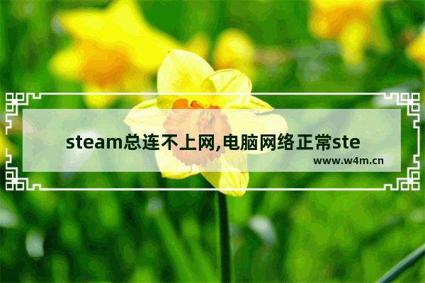 steam总连不上网,电脑网络正常steam连不上网