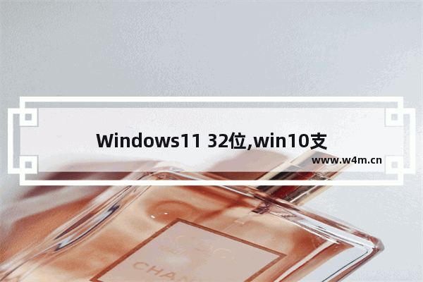 Windows11 32位,win10支持32位软件吗