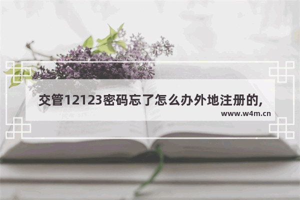 交管12123密码忘了怎么办外地注册的,交管12123密码忘了怎么办 怎么修改密码