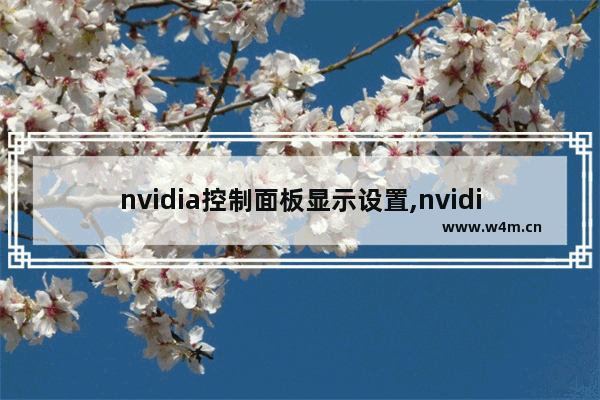 nvidia控制面板显示设置,nvidia控制面板程序设置怎么设置