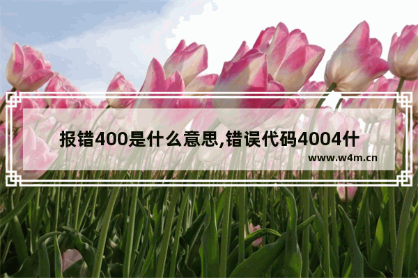 报错400是什么意思,错误代码4004什么意思