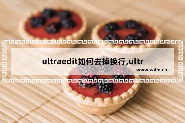 ultraedit如何去掉换行,ultraedit 替换成回车换行