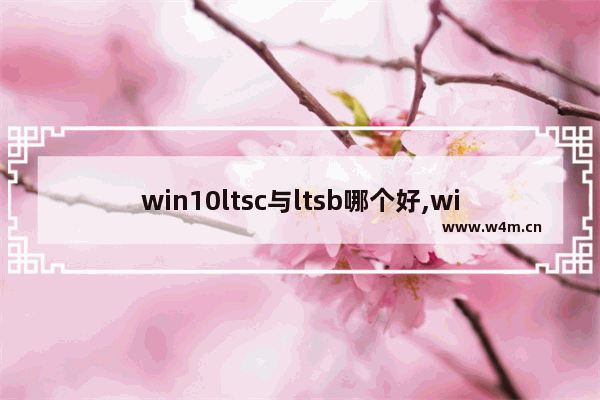 win10ltsc与ltsb哪个好,win10ltsb和ltsc哪个好