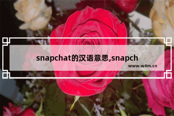 snapchat的汉语意思,snapchat翻译成中文发音