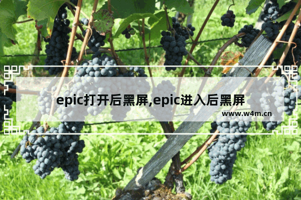 epic打开后黑屏,epic进入后黑屏