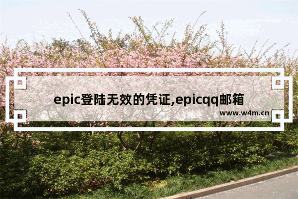 epic登陆无效的凭证,epicqq邮箱登录不上