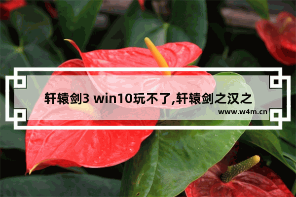 轩辕剑3 win10玩不了,轩辕剑之汉之云win10无法打开