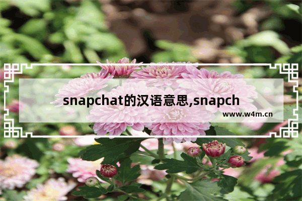 snapchat的汉语意思,snapchat翻译成中文发音