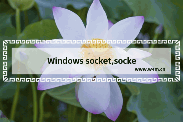 Windows socket,socket编程语言