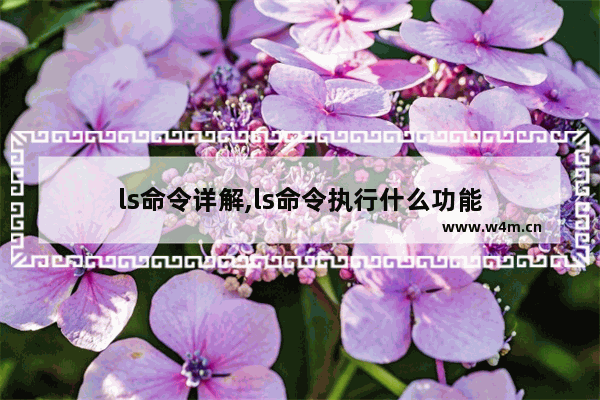 ls命令详解,ls命令执行什么功能