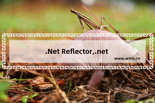 .Net Reflector,.net reflector怎么用