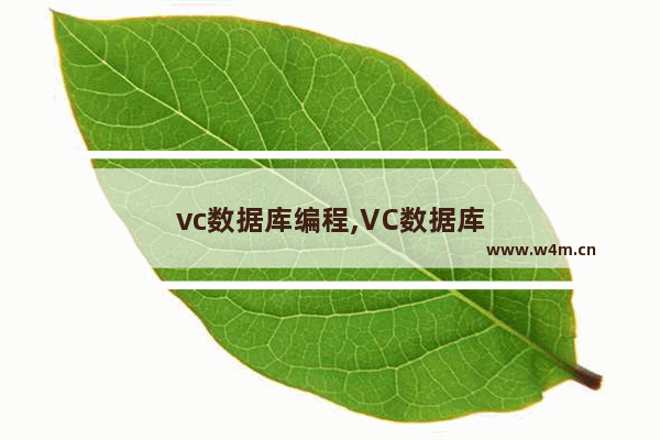 vc数据库编程,VC数据库