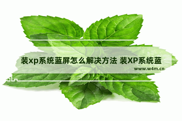 装xp系统蓝屏怎么解决方法 装XP系统蓝屏解决方法有哪些？