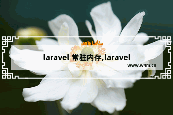 laravel 常驻内存,laravel闪存操作