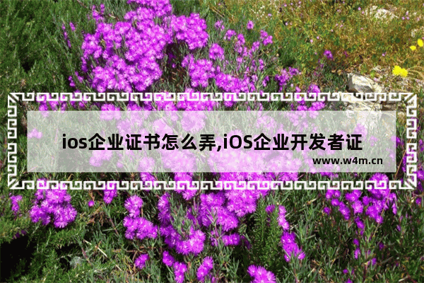 ios企业证书怎么弄,iOS企业开发者证书