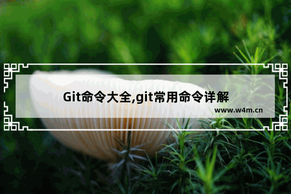 Git命令大全,git常用命令详解