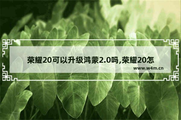 荣耀20可以升级鸿蒙2.0吗,荣耀20怎么升级鸿蒙2.0