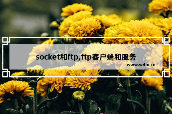 socket和ftp,ftp客户端和服务端传递ftp命令时