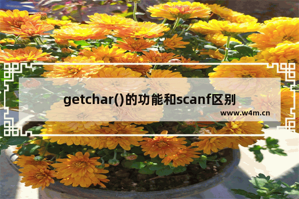 getchar()的功能和scanf区别,scanf函数和getchar函数的区别